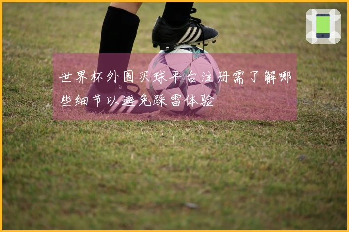 世界杯外围买球平台注册需了解哪些细节以避免踩雷体验