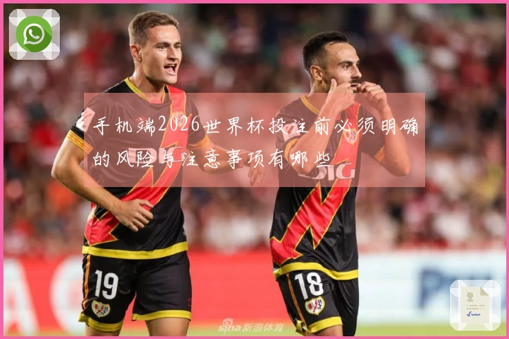 手机端2026世界杯投注前必须明确的风险与注意事项有哪些