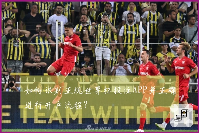 如何识别正规世界杯投注APP并正确进行开户流程？