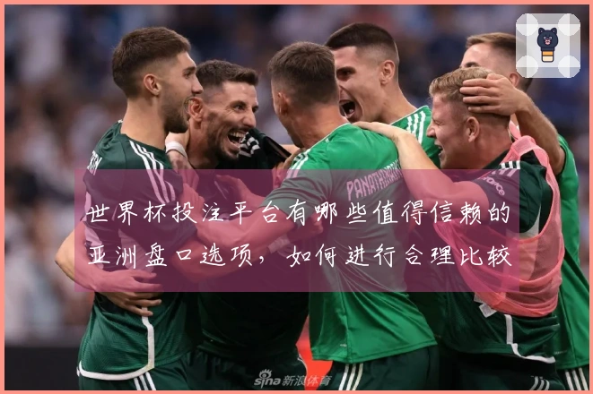 世界杯投注平台有哪些值得信赖的亚洲盘口选项，如何进行合理比较和选择？