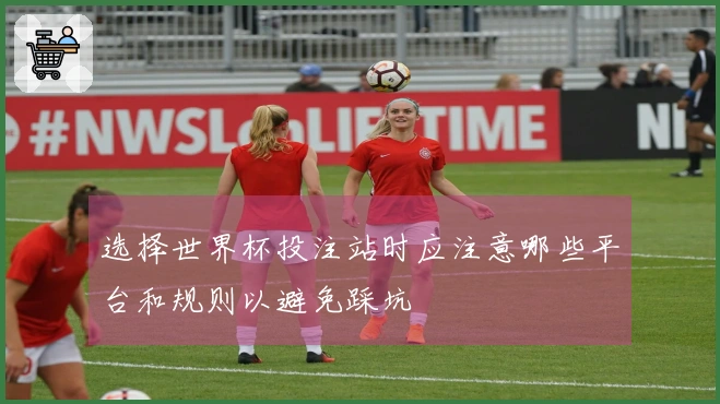 选择世界杯投注站时应注意哪些平台和规则以避免踩坑