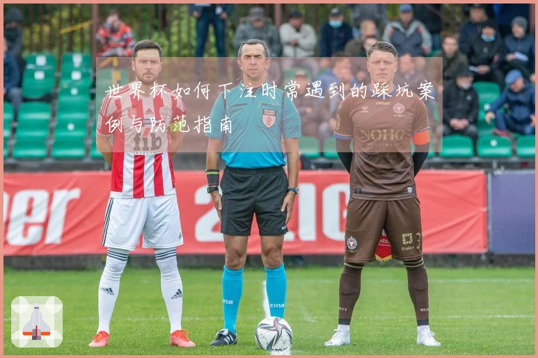 世界杯如何下注时常遇到的踩坑案例与防范指南