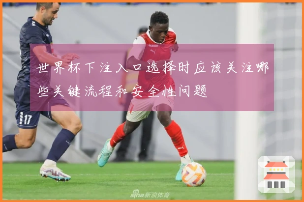 世界杯下注入口选择时应该关注哪些关键流程和安全性问题