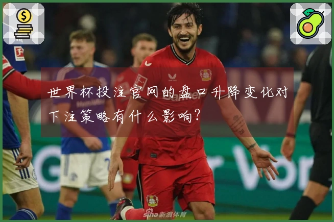 世界杯投注官网的盘口升降变化对下注策略有什么影响？
