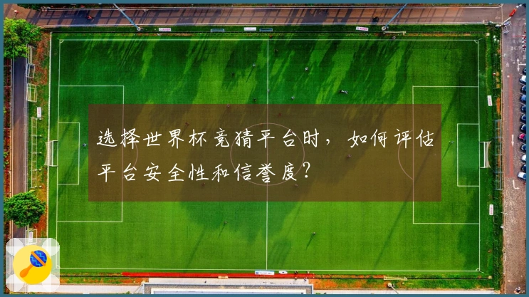 选择世界杯竞猜平台时，如何评估平台安全性和信誉度？