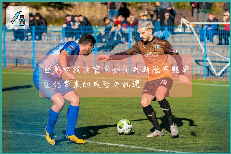 世界杯投注官网如何判断冠军赔率变化带来的风险与机遇