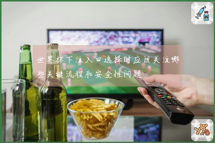 世界杯下注入口选择时应该关注哪些关键流程和安全性问题
