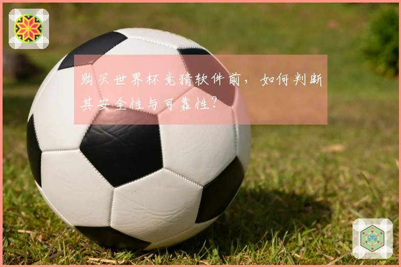 购买世界杯竞猜软件前，如何判断其安全性与可靠性？