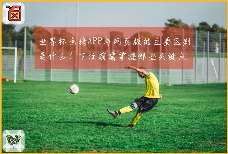 世界杯竞猜APP与网页版的主要区别是什么？下注前需掌握哪些关键点？