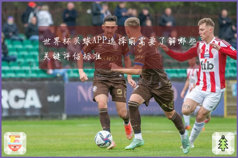 世界杯买球APP选择前需要了解哪些关键评估标准