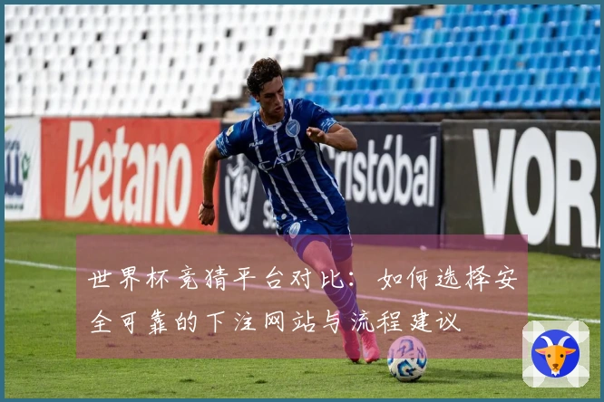 世界杯竞猜平台对比：如何选择安全可靠的下注网站与流程建议