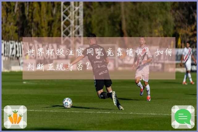 世界杯投注官网究竟靠谱吗？如何判断正规与否？