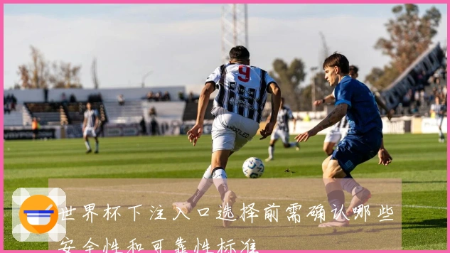 世界杯下注入口选择前需确认哪些安全性和可靠性标准