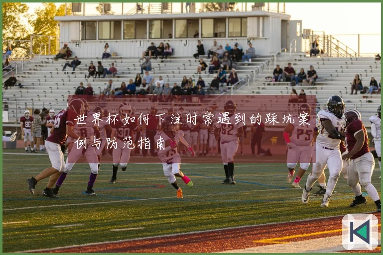 世界杯如何下注时常遇到的踩坑案例与防范指南