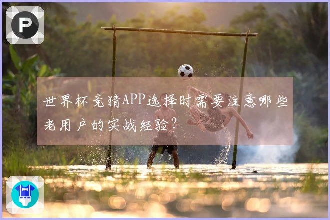 世界杯竞猜APP选择时需要注意哪些老用户的实战经验？