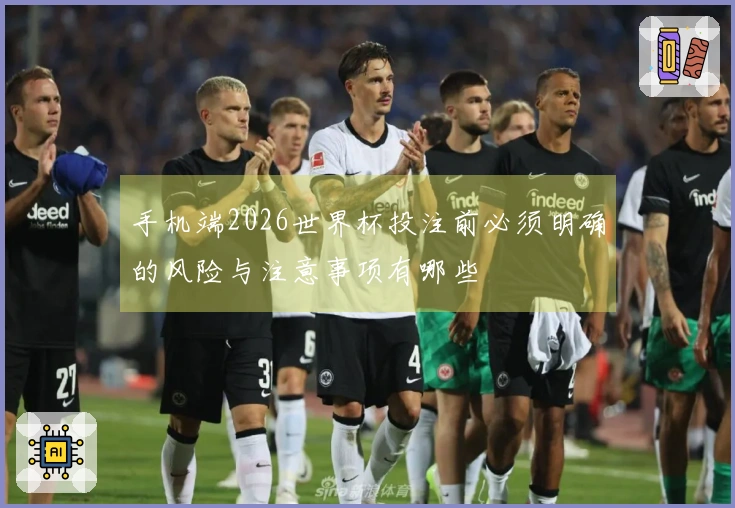 手机端2026世界杯投注前必须明确的风险与注意事项有哪些