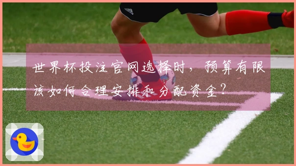 世界杯投注官网选择时，预算有限该如何合理安排和分配资金？