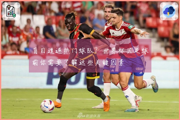 盲目追逐热门球队？世界杯买足球前你需要了解这些关键因素