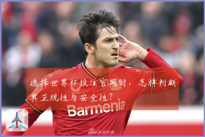 选择世界杯投注官网时，怎样判断其正规性与安全性？