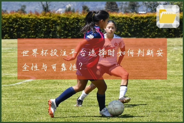 世界杯投注平台选择时如何判断安全性与可靠性？
