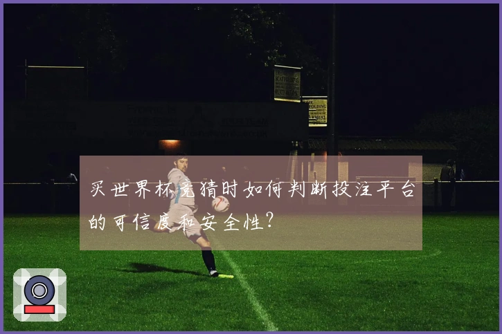 买世界杯竞猜时如何判断投注平台的可信度和安全性？