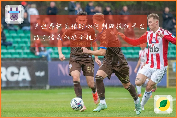 买世界杯竞猜时如何判断投注平台的可信度和安全性？