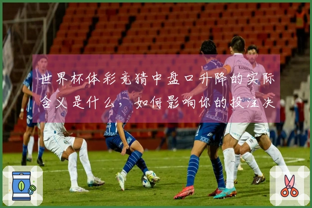 世界杯体彩竞猜中盘口升降的实际含义是什么，如何影响你的投注决策？