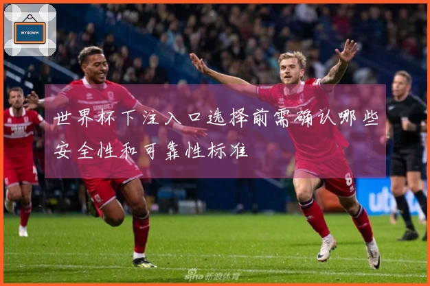 世界杯下注入口选择前需确认哪些安全性和可靠性标准